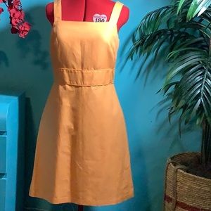 Ann Taylor NWT Mandarin Orange Dress Size 8